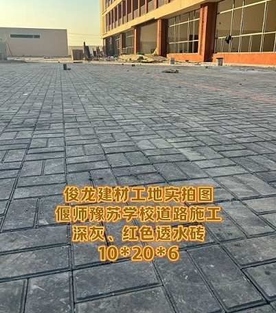 偃師豫蘇學校道路施工 深灰、紅色透水磚 10*20*6
