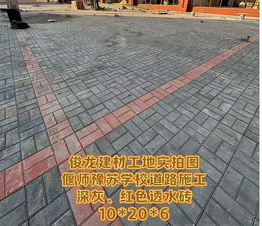 偃師豫蘇學校道路施工（深灰、紅色透水磚 10*20*6）